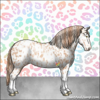 Horse Color:Gold Champagne Near Leopard  and Gold Champagne Splash Near Leopard 