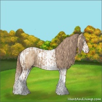 Horse Color:Red Dun Tobiano and Red Dun Splash Tobiano