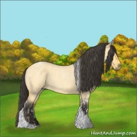 Horse Color:Buckskin Roan Dun Tobiano  and Buckskin Roan Dun Tobiano 