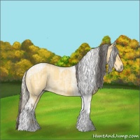 Horse Color:Buckskin Roan Dun Tobiano  and Silver Buckskin Roan Dun Tobiano 