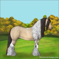 Horse Color:Buckskin Roan Dun Tobiano  and Buckskin Roan Dun Tobiano 