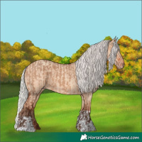 Horse Color:Silver Bay Dun  and Silver Amber Champagne Dun 