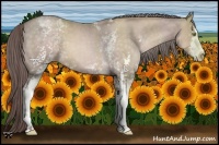 Horse Color:Platinum White Spotted Brown Pearl Sabino 