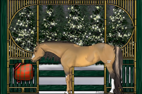 Horse Color:Palomino  and Buckskin 