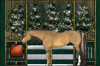 Horse Color:Palomino  and Buckskin 