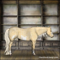 Horse Color:Palomino Roan  and Palomino Roan Frame 
