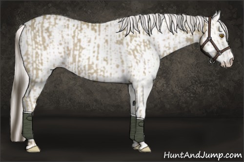 Horse Color:Classic Cream Champagne  and Smoky Creme 
