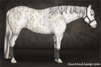 Horse Color:Classic Cream Champagne  and Smoky Creme 