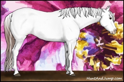Horse Color:Bay Roan Blanket 