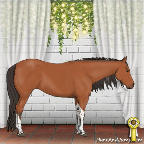 Horse Color:Bay Tobiano Rabicano 