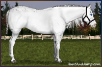 Horse Color:Liver Chestnut Frame 