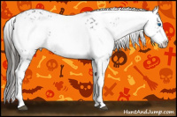 Horse Color:Liver Chestnut Frame 