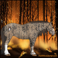 Horse Color:Black  and Classic Champagne 