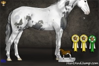 Horse Color:White Spotted Black Splash Tobiano Rabicano