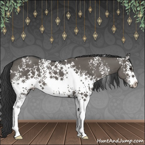 Horse Color:White Spotted Grullo Sabino
