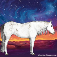 Horse Color:Smoky Grullo Sabino Splash 