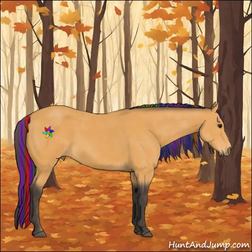 Horse Color:Painted Buckskin 