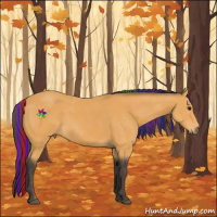 Horse Color:Painted Buckskin