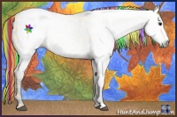 Horse Color:Gray Painted Plaid Buckskin