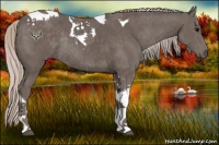 Horse Color:Silver Black Tobiano Rabicano 