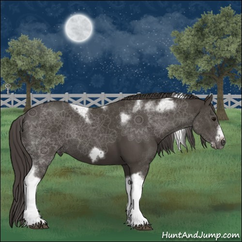 Horse Color:Smoky Black Tobiano Frame Rabicano 