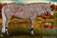 Horse Color:Silver Brown Ice Splash 