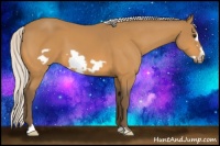 Horse Color:Silver Buckskin Frame 