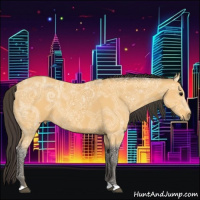 Horse Color:Buckskin Ice Rabicano 