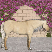 Horse Color:Silver Smoky Grullo 