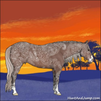 Horse Color:Silver Brown Ice Sabino Rabicano 