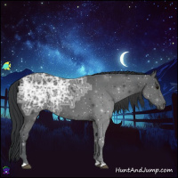 Horse Color:Black Ice