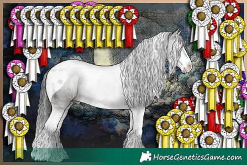 Horse Color:Grullo Sabino Splash Tobiano Rabicano 