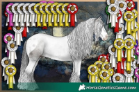 Horse Color:Grullo Sabino Splash Tobiano Rabicano