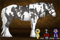 Horse Color:Black Tobiano and Gray Black Tobiano