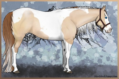 Horse Color:Brown Pearl Dun Sabino Splash Tobiano Rabicano
