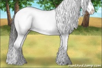 Horse Color:Liver Chestnut Frame 