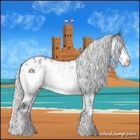 Horse Color:Silver Brown Chinchilla Splash Near Leopard 