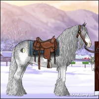 Horse Color:Silver Blue Chinchilla Roan Splash 