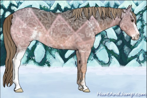 Horse Color:Liver Chestnut Ice Sabino 