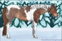 Horse Color:Liver Chestnut Tobiano 