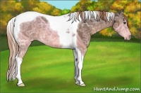 Horse Color:Liver Chestnut Ice Tobiano 