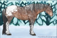 Horse Color:Brown Tobiano Snowcap Rabicano 