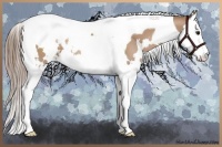 Horse Color:White Spotted Black Pearl Splash Tobiano 