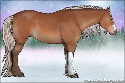 Horse Color:Silver Bay 