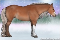 Horse Color:Silver Bay 