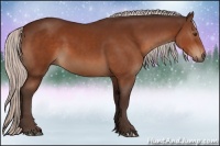 Horse Color:Silver Brown Sabino 