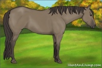 Horse Color:Smoky Grullo 