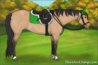 Horse Color:Bay Roan Dun 