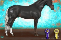 Horse Color:Liver Chestnut Mushroom 