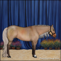 Horse Color:Silver Brown Dun 